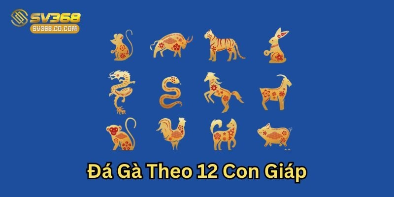 Lưu ý trong Đá Gà Theo 12 Con Giáp